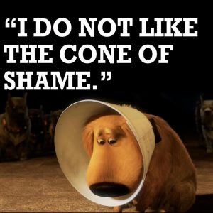 Cartoon type picture of a dog looking sad wearing an E collar - the cone of shame