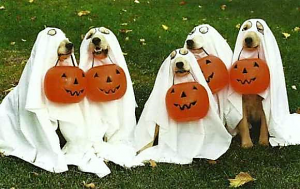 5 dogs dressed as ghosts holding plastic pumpkins in mouths