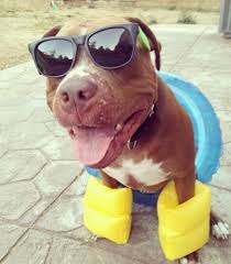 pit with floaties