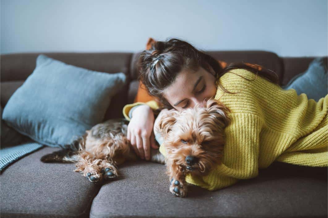 Coping with Pet Anxiety During Holiday Fireworks and Noise
