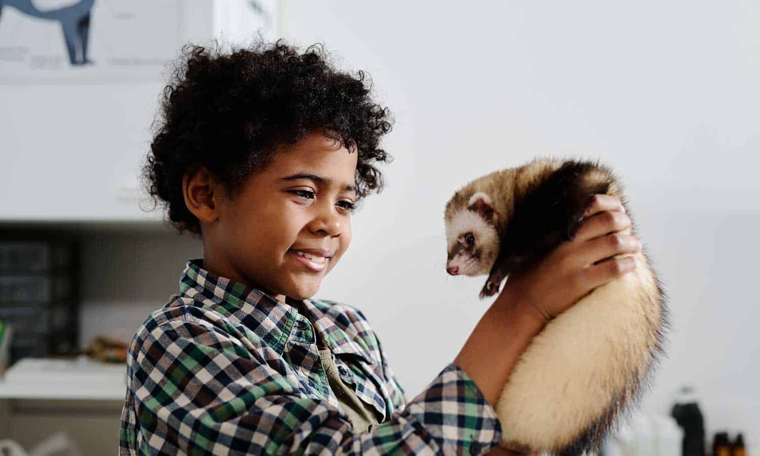 A child holding a ferret